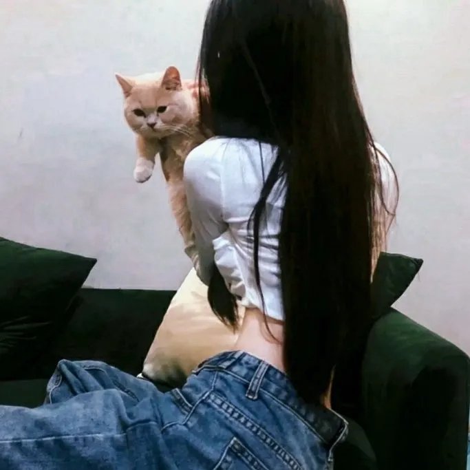 网红的疯狂世界