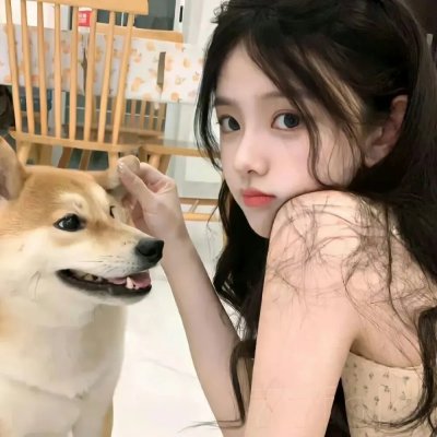 命运冠位指定 神圣圆桌领域卡美洛 前篇