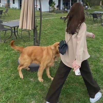 慈膳救援